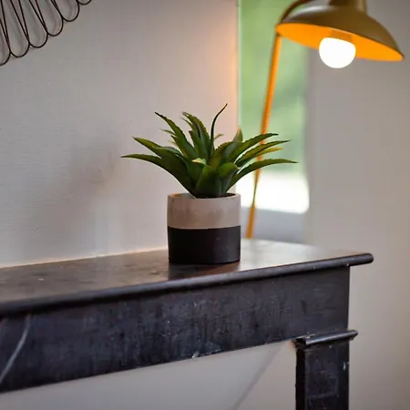 Le Rêve Doré Proche De La Gare ! Apartamento *