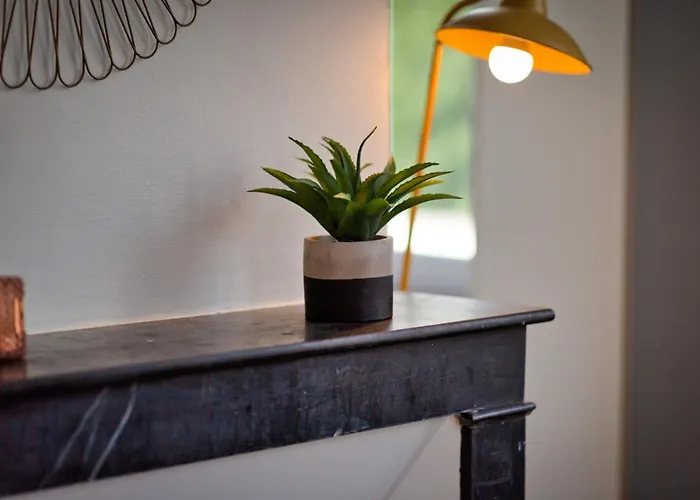 Le Reve Dore Proche De La Gare ! Daire *